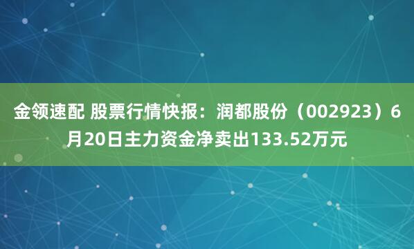 金领速配 股票行情快报：润都股份（002923）6月20日主力资金净卖出133.52万元