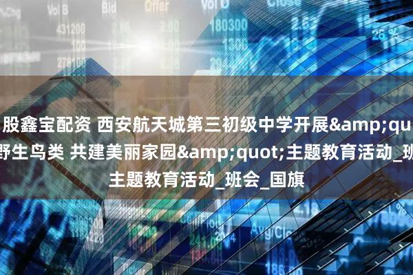 股鑫宝配资 西安航天城第三初级中学开展&quot;保护野生鸟类 共建美丽家园&quot;主题教育活动_班会_国旗