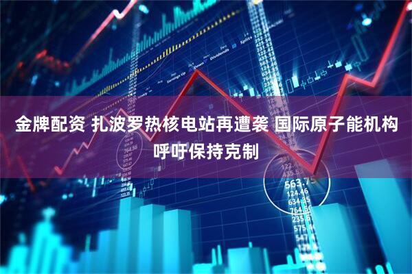 金牌配资 扎波罗热核电站再遭袭 国际原子能机构呼吁保持克制